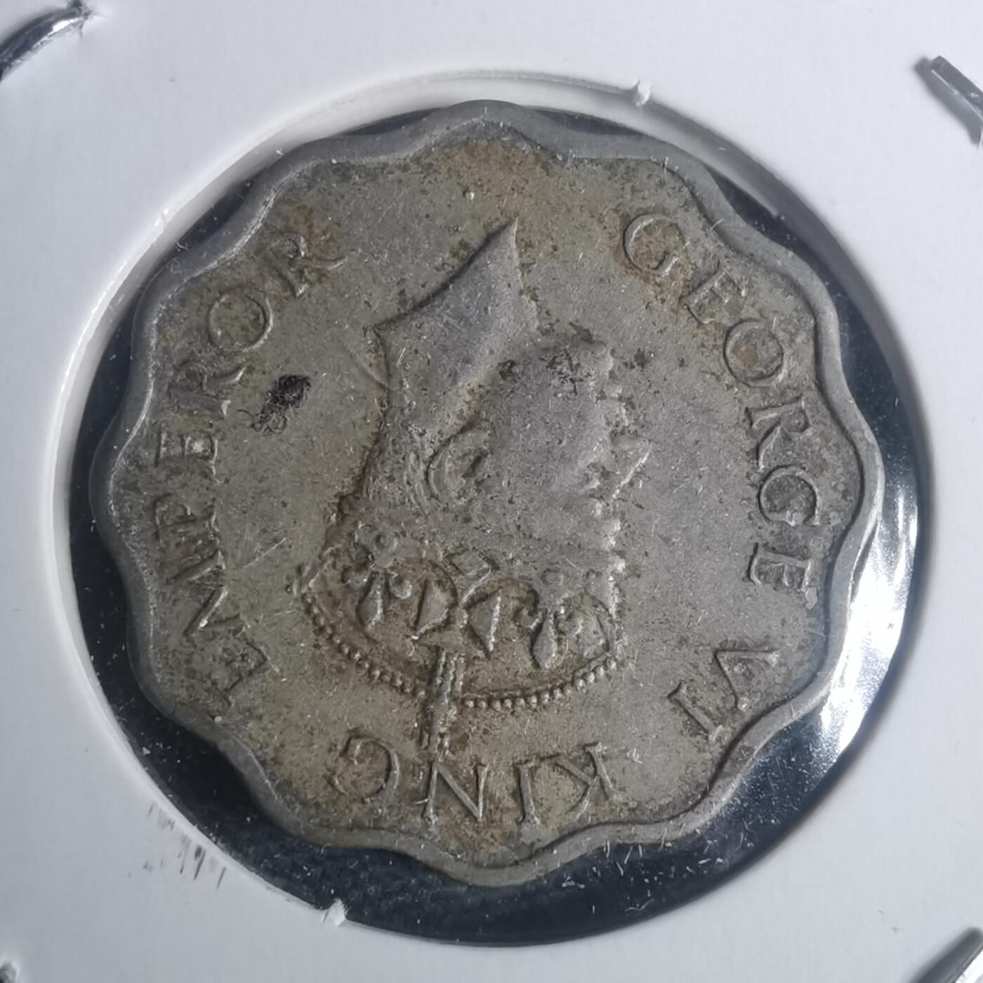 沼泽如烟--第930场