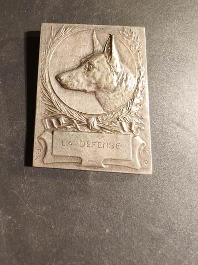 老王徽章第169期 - 法国宠物犬博览会方形镀银大铜章     尺寸45×60mm.    重量72.4g