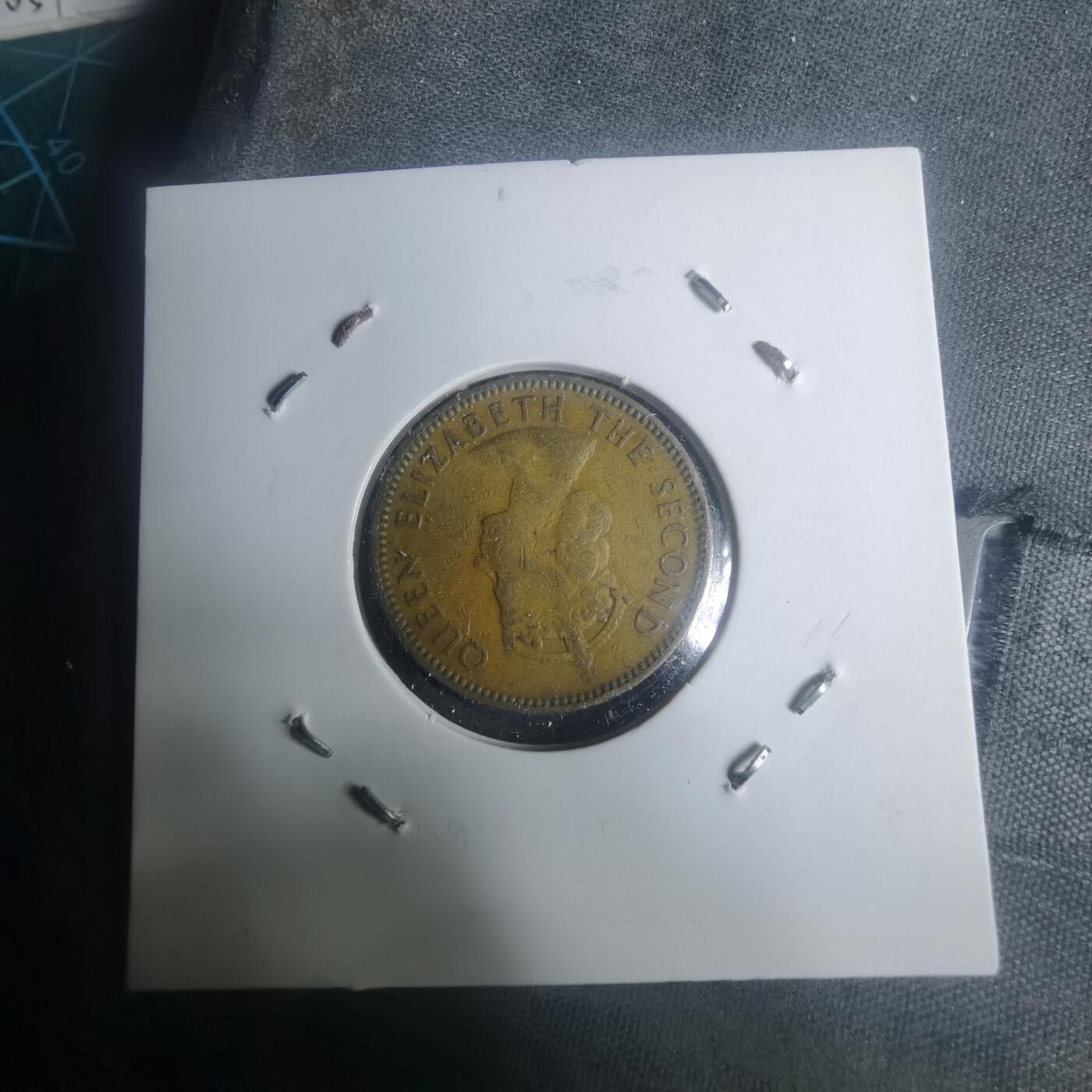 沼泽如烟--第930场