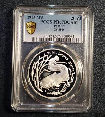 1995年波兰动物～欧洲鲶鱼20兹罗提精制银币 - 1995年波兰动物～欧洲鲶鱼20兹罗提精制银币