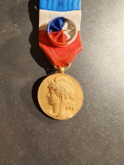 老王徽章第169期 - 法国金级劳动荣誉奖章     实发版