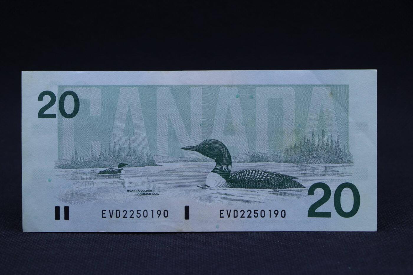 【淘币小摊】限时拍第八百二十八拍  纸币场  满百包邮可预留两周  周一统一发货    加拿大1991年20元纸币【有折】