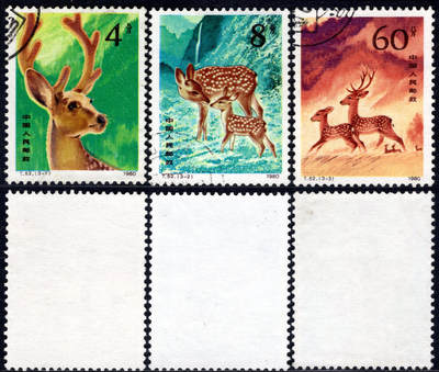 洪涛臻品批发群 精选邮票限时拍卖第1201期  - T52梅花鹿 全套信销上品