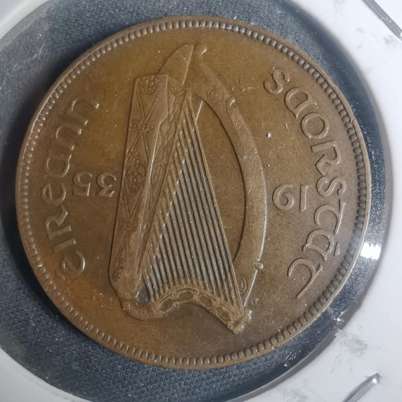 沼泽如烟--第930场