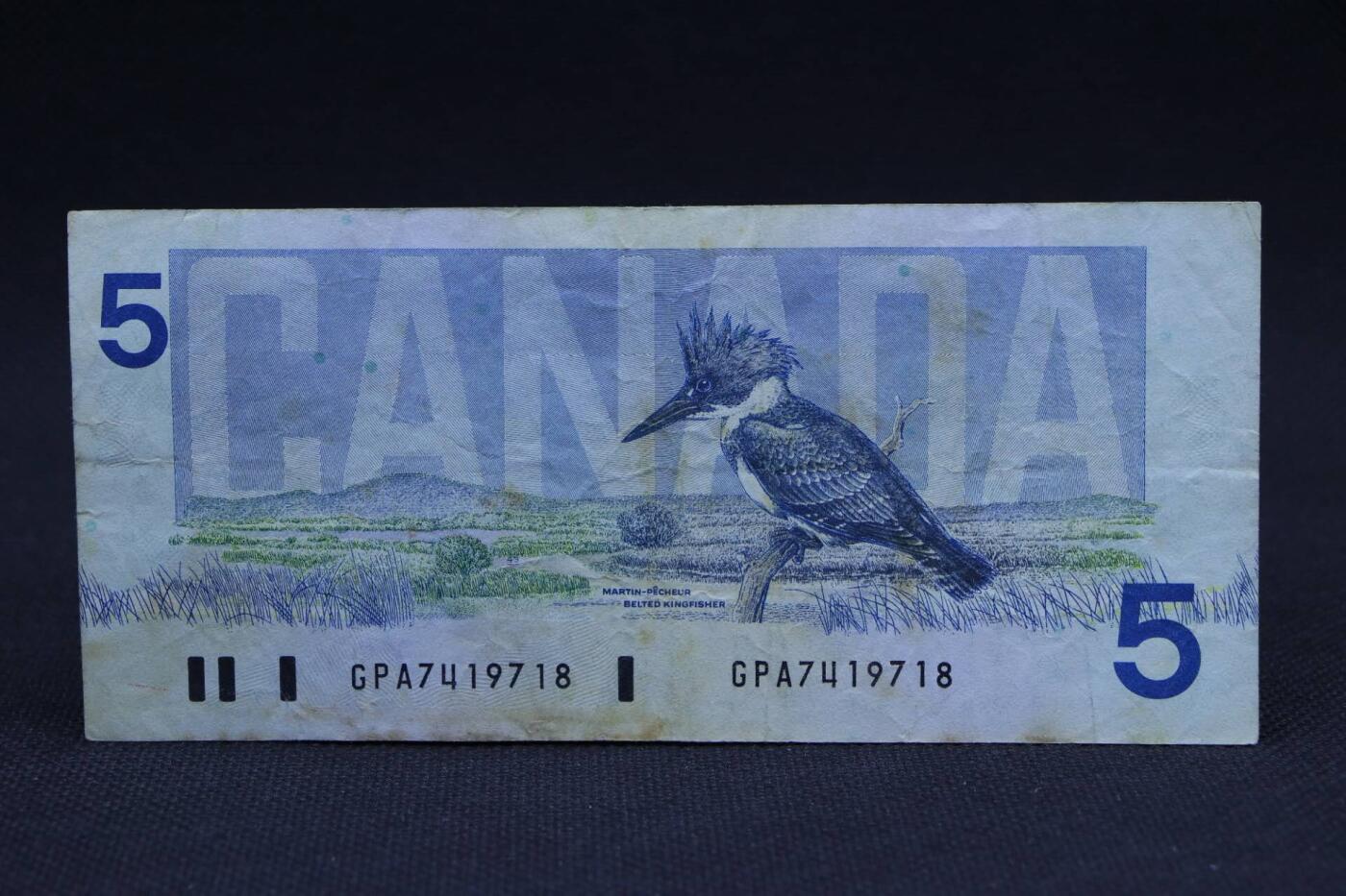 【淘币小摊】限时拍第八百二十八拍  纸币场  满百包邮可预留两周  周一统一发货 