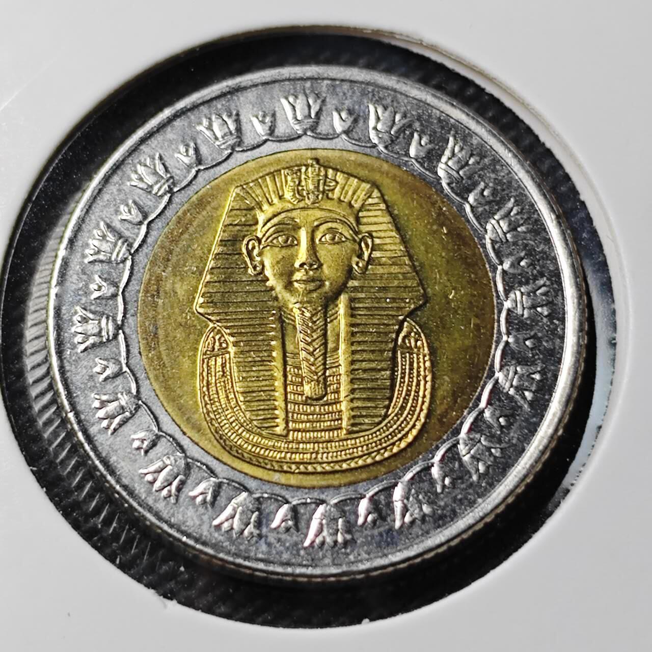 KK钱币收藏小铺 第379期  2月预留时间 周末发货  埃及1镑双色币