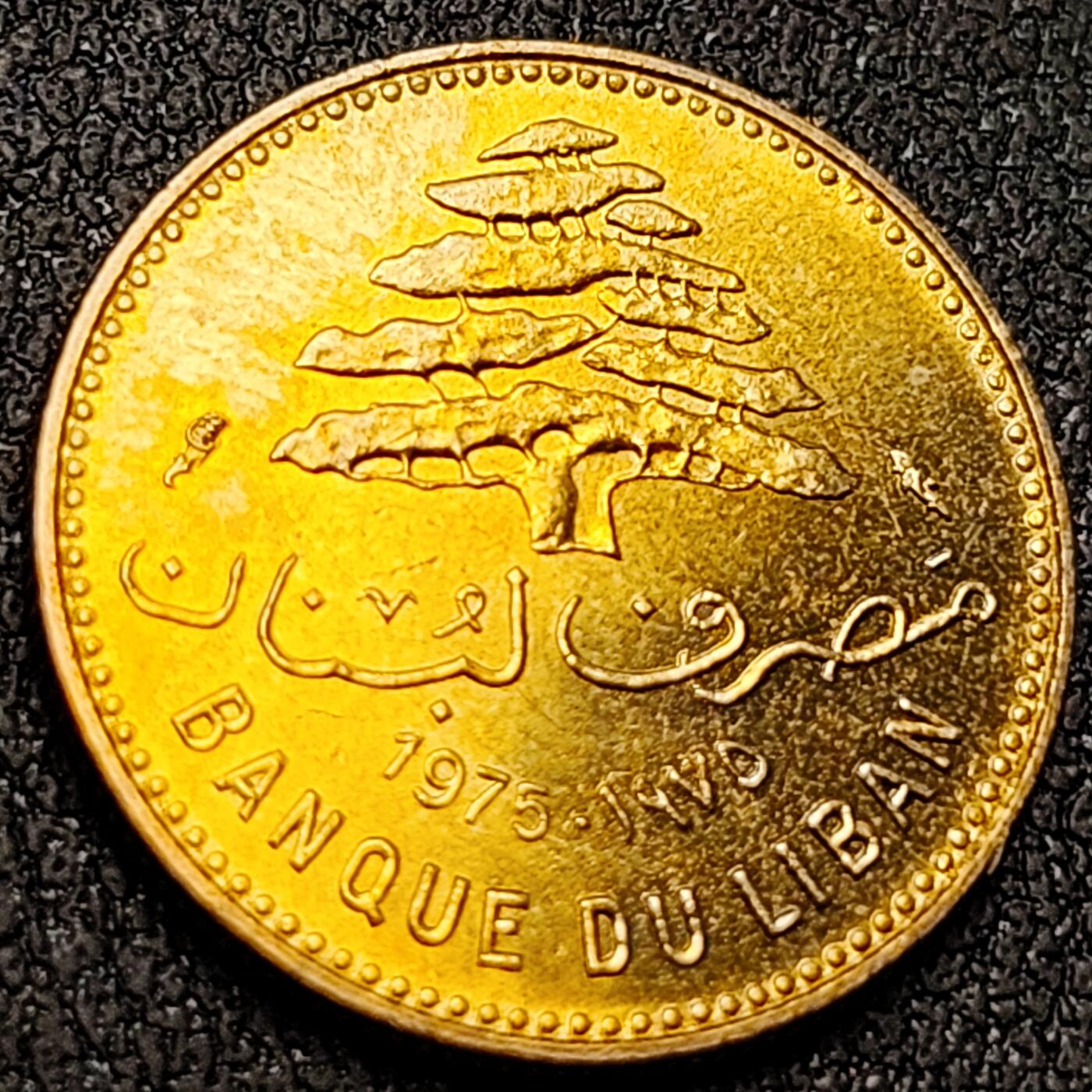 泉币菌-第146场-精品福利场 。