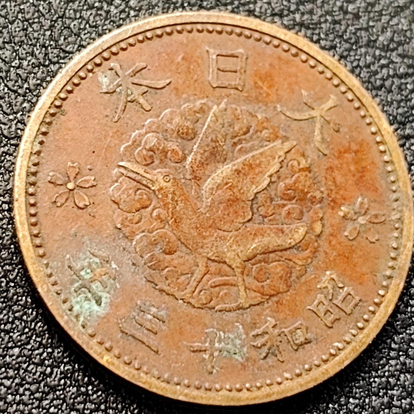 泉币菌-第146场-精品福利场 。