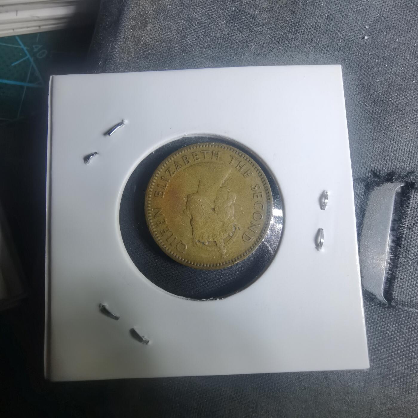 沼泽如烟--第930场