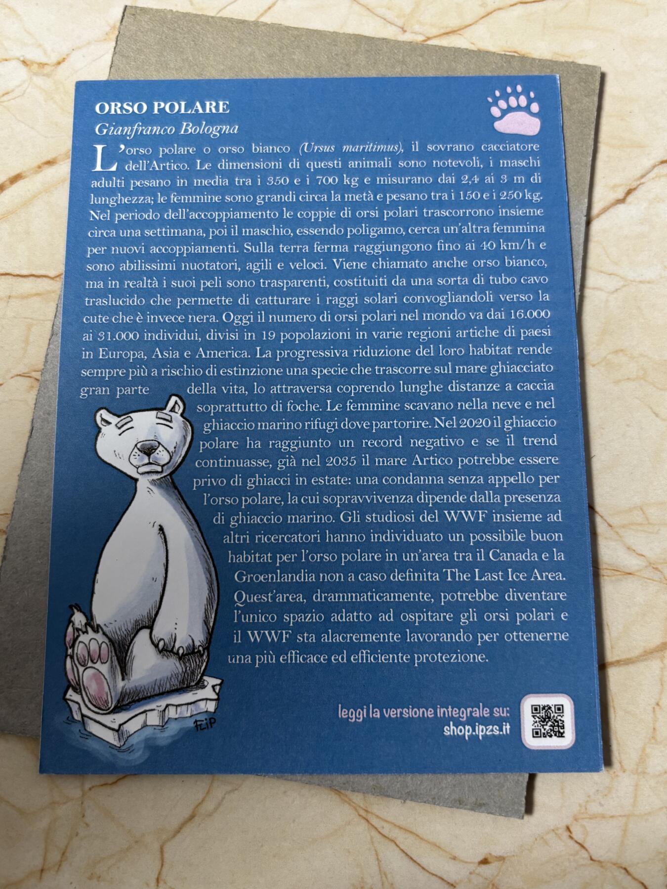 第185期拍卖 卡装意大利2021年动物园系列夜光北极熊5欧精制纪念币