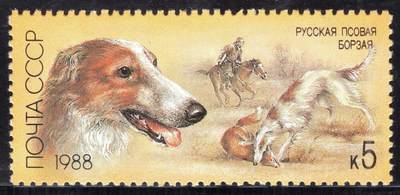 洪涛臻品批发群 精选邮票限时拍卖第1195期  - 苏联1988年 原胶全品 猎犬