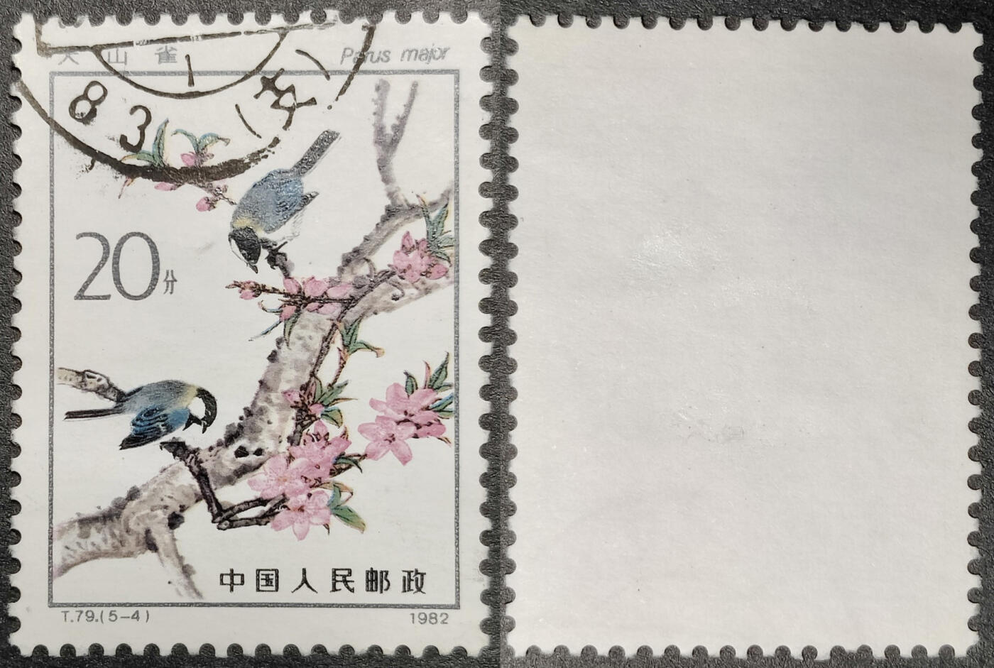 洪涛臻品批发群 精选邮票限时拍卖第1201期  T79益鸟20分 面艳背白票挺无人为 信销近全品