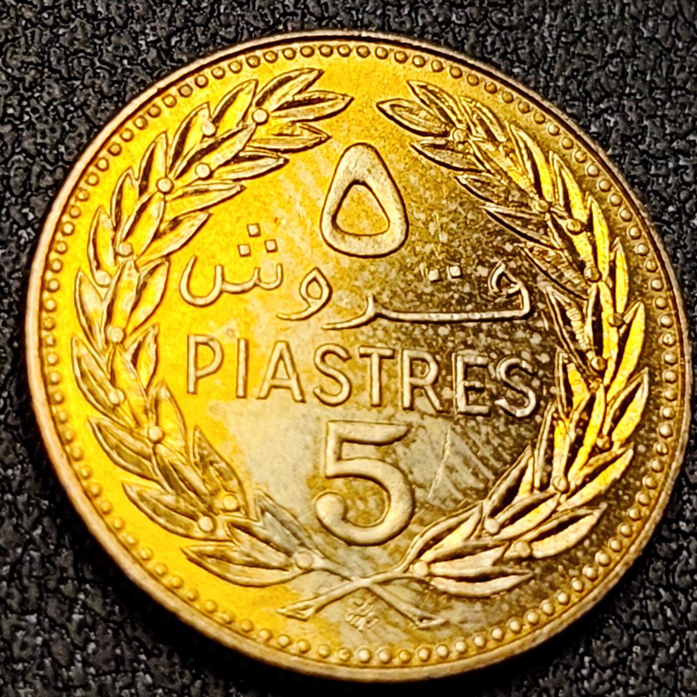 泉币菌-第146场-精品福利场 。