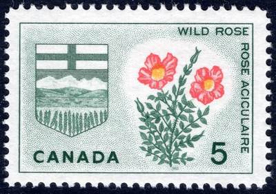 洪涛臻品批发群 精选邮票限时拍卖第1194期  - 加拿大1966年 野玫瑰与阿尔伯塔省徽章 新票, 精美雕刻版, 原胶完美润亮