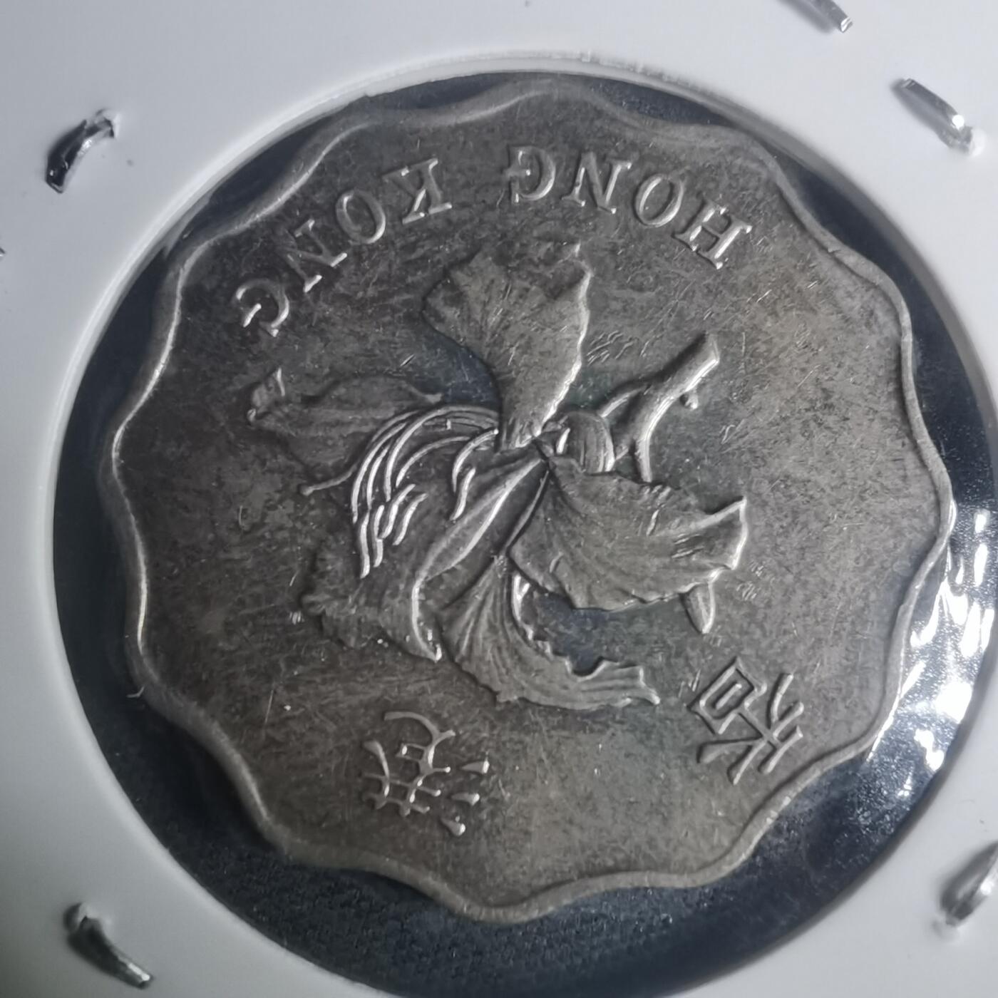 沼泽如烟--第930场