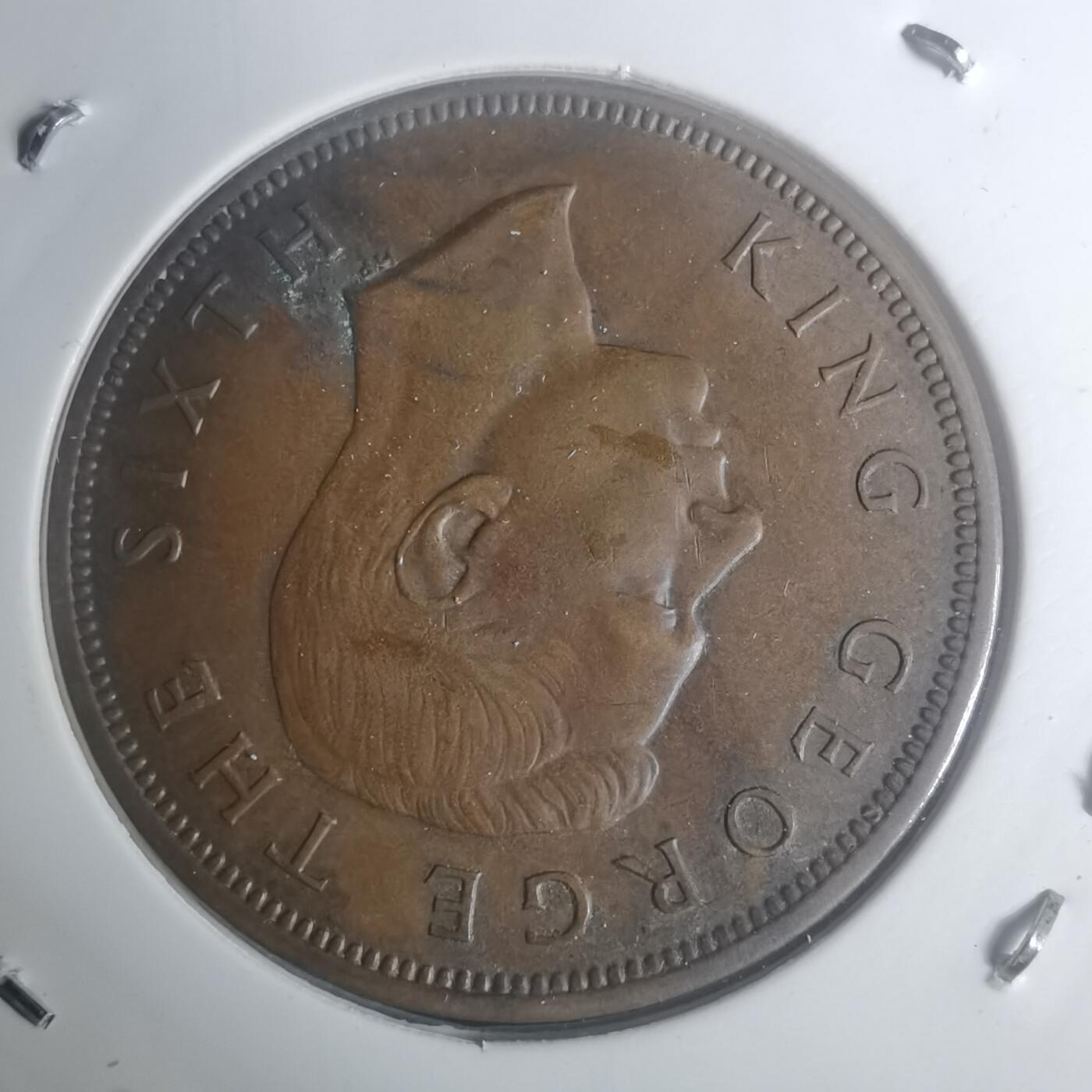 沼泽如烟--第930场