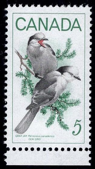 洪涛臻品批发群 精选邮票限时拍卖第1194期  加拿大 灰松鸦邮票 原胶润亮带边