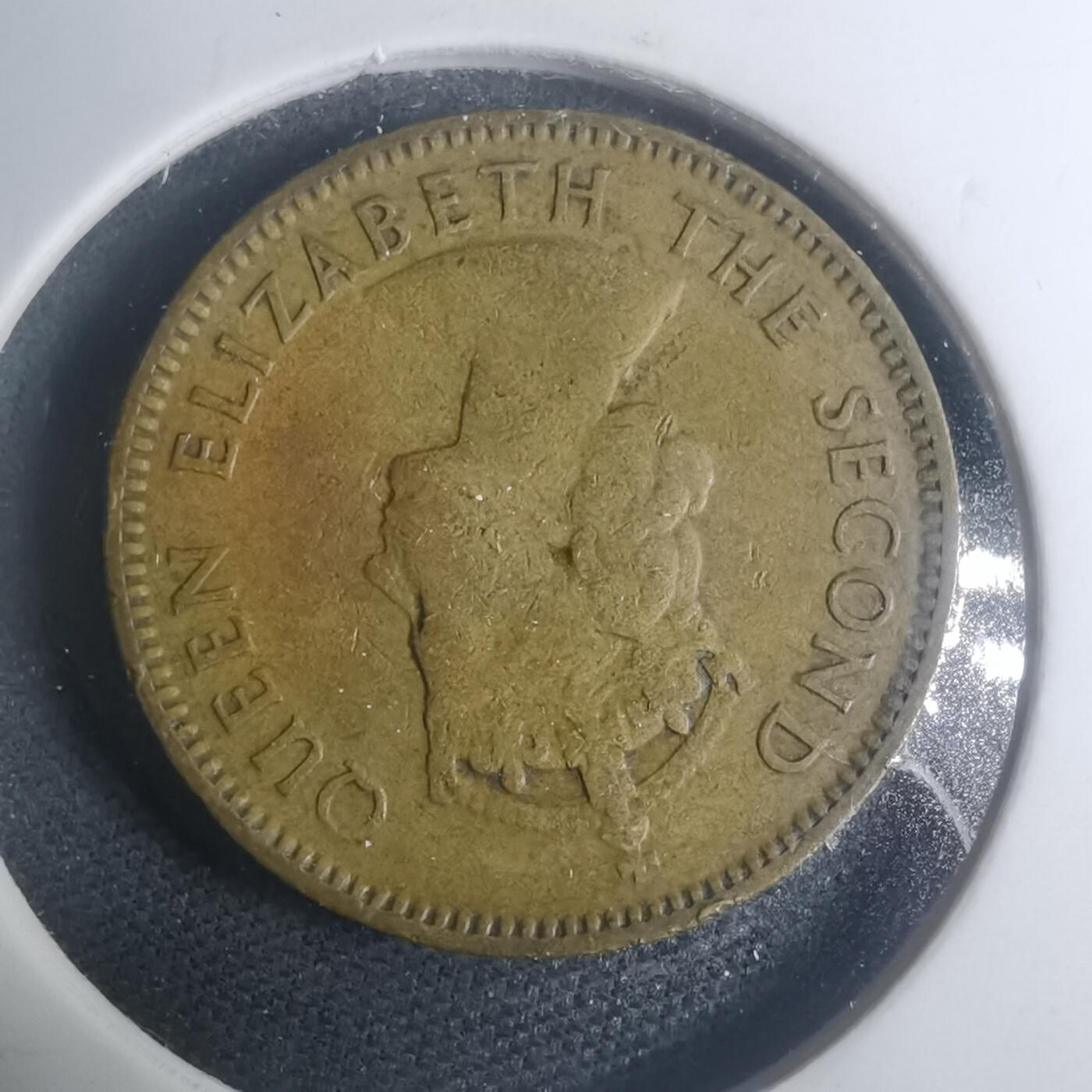 沼泽如烟--第930场