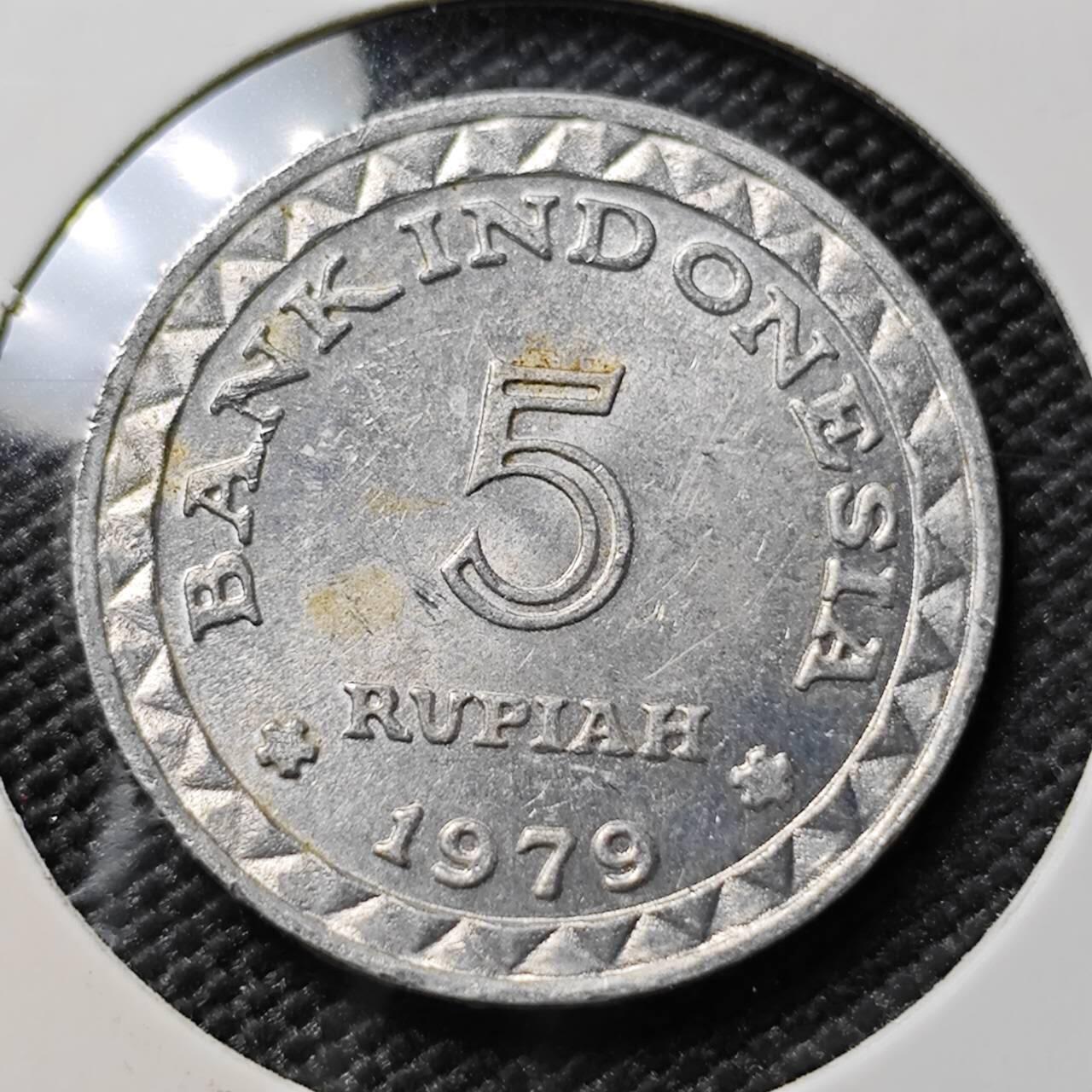 KK钱币收藏小铺 第378期  2月预留时间 周末发货