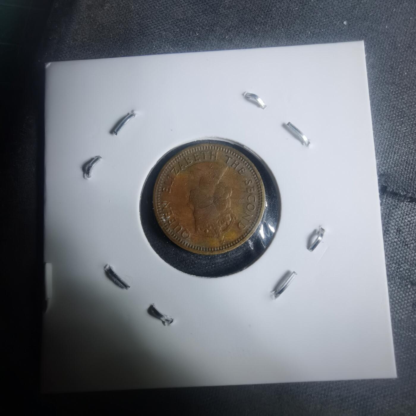 沼泽如烟--第930场