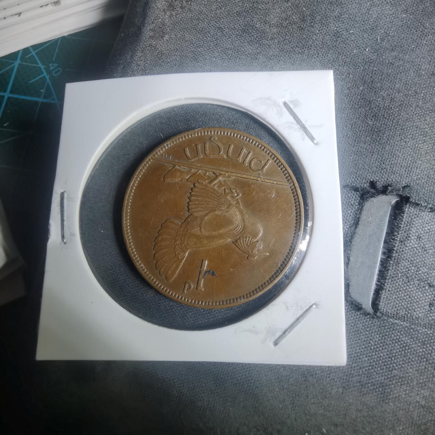 沼泽如烟--第930场