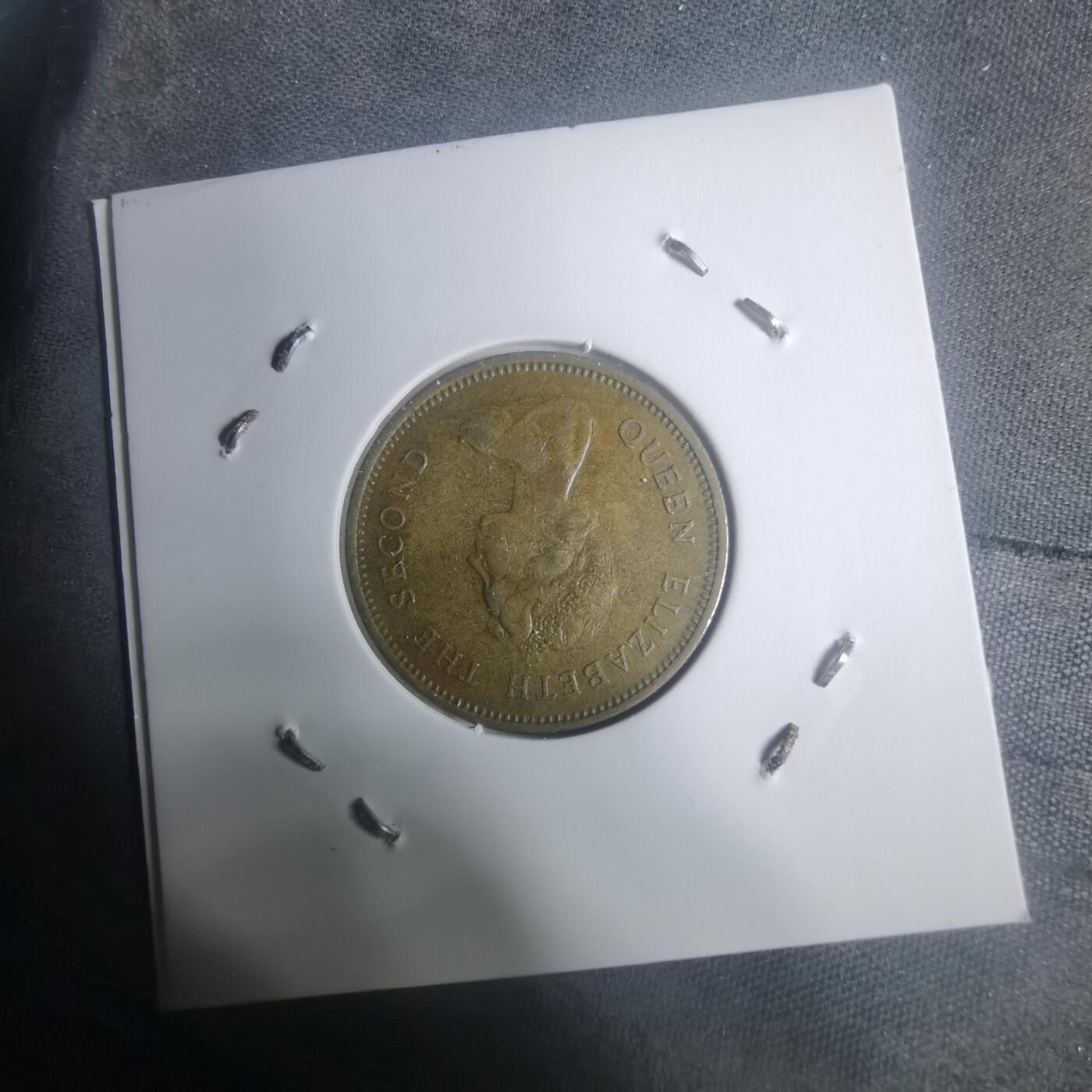 沼泽如烟--第930场