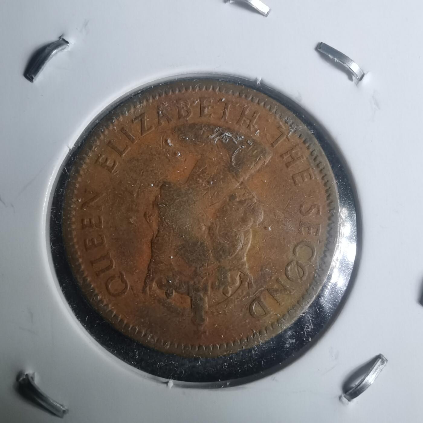 沼泽如烟--第930场