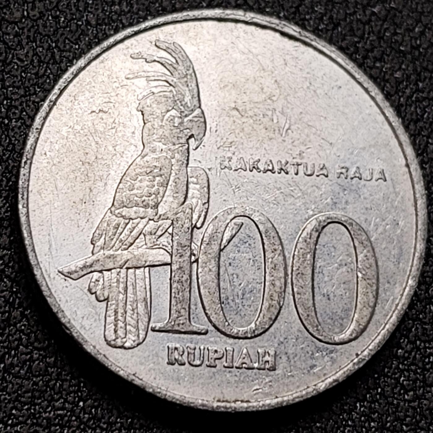 泉币菌-第146场-精品福利场 。