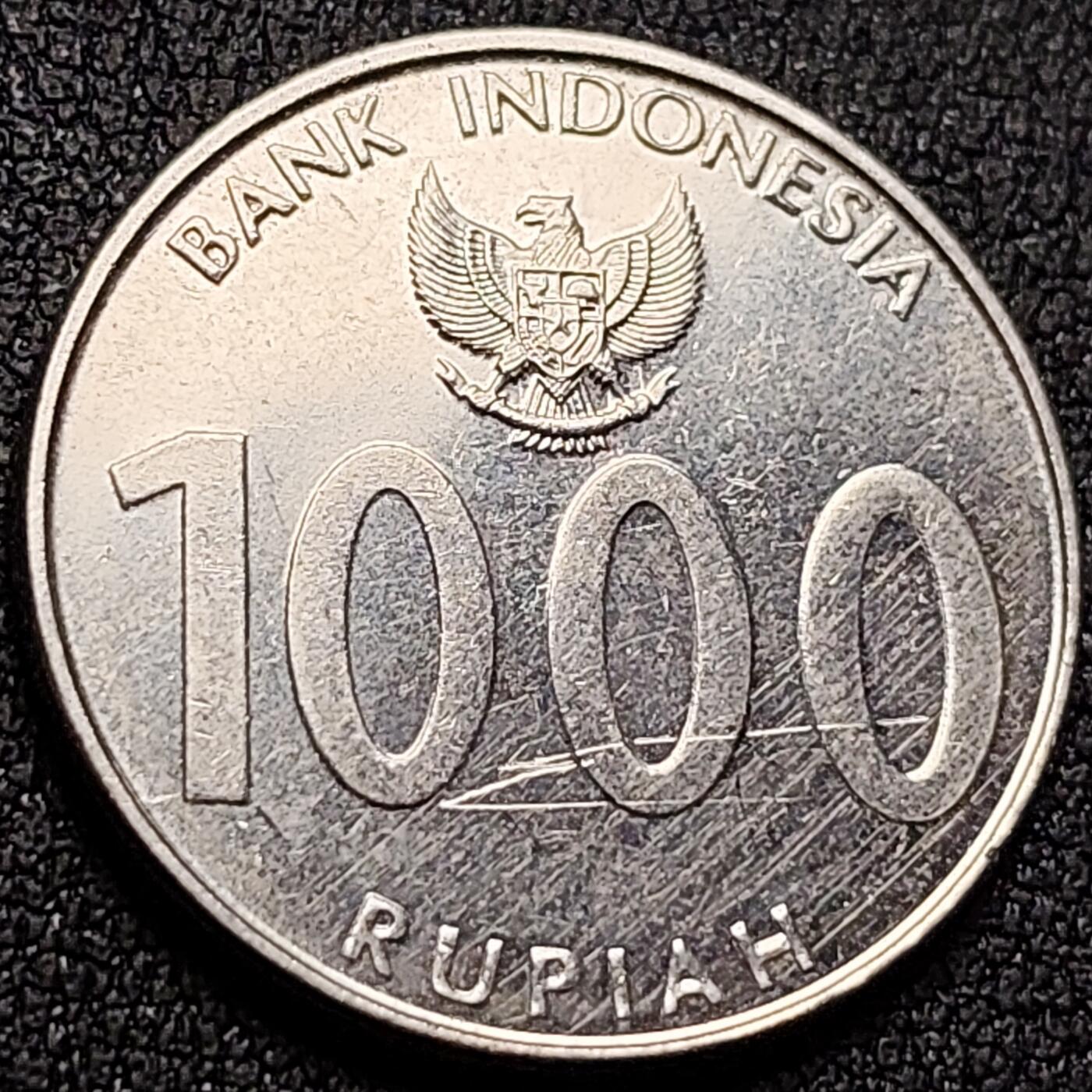 泉币菌-第146场-精品福利场 。