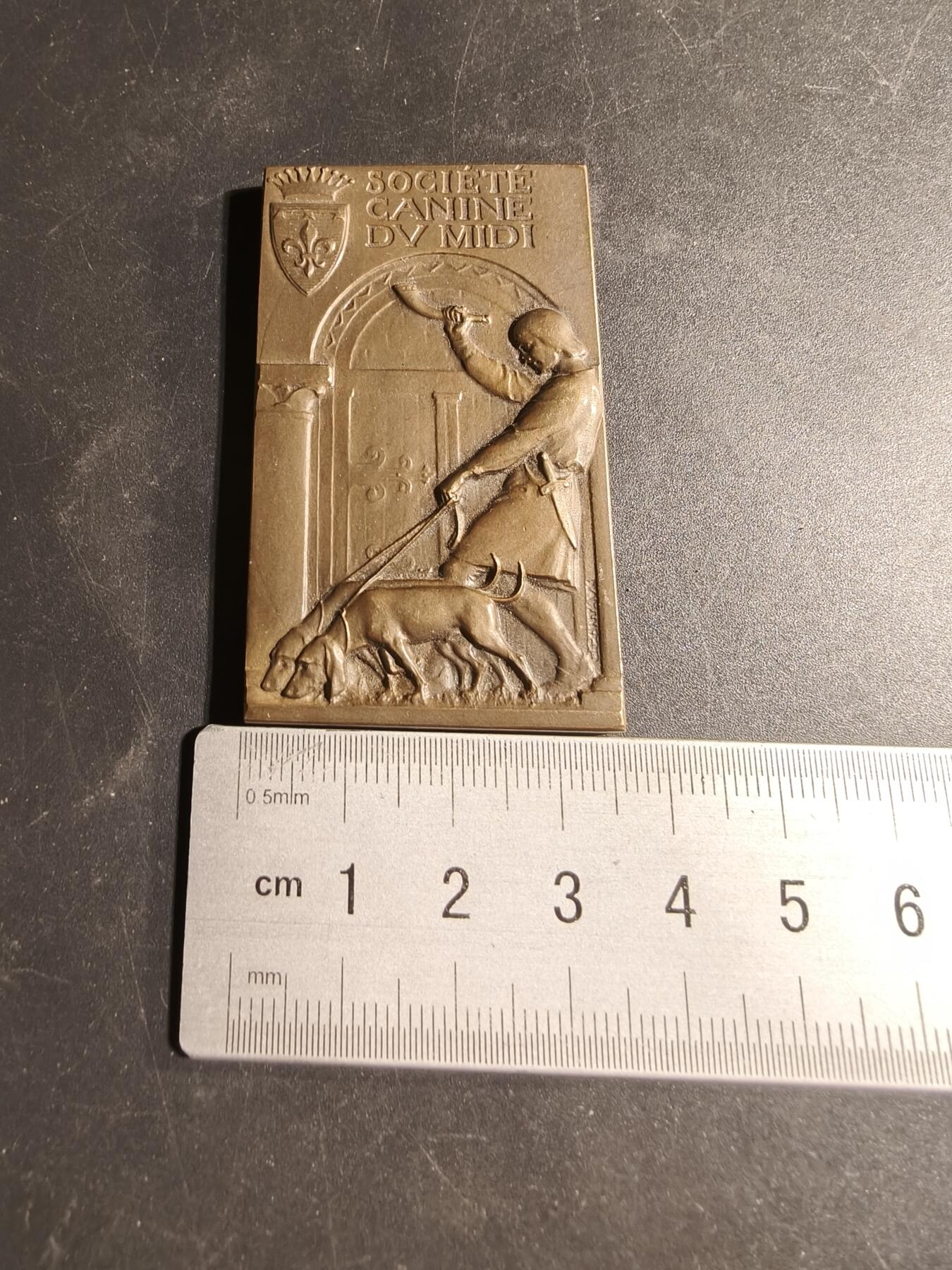 老王徽章第169期 法国中部地区宠物犬博览会一等奖方形大铜章    尺寸36×60mm.    重量62.6g