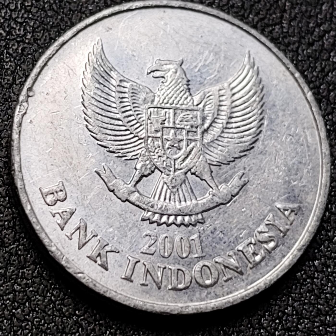 泉币菌-第146场-精品福利场 。