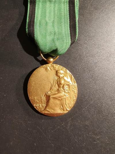 老王徽章第169期 - 法国金级志愿服务荣誉奖章     旨在鼓励、表彰在志愿和公民活动中为社区和公民做出杰出贡献的人士。