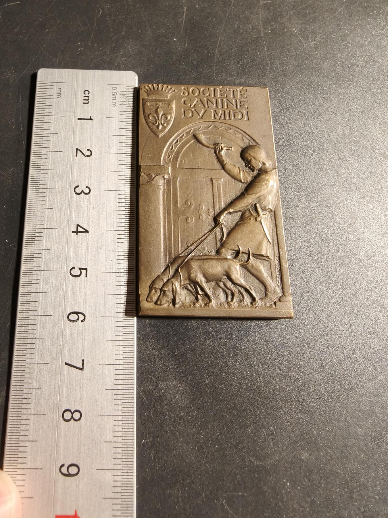 老王徽章第169期 法国中部地区宠物犬博览会一等奖方形大铜章    尺寸36×60mm.    重量62.6g