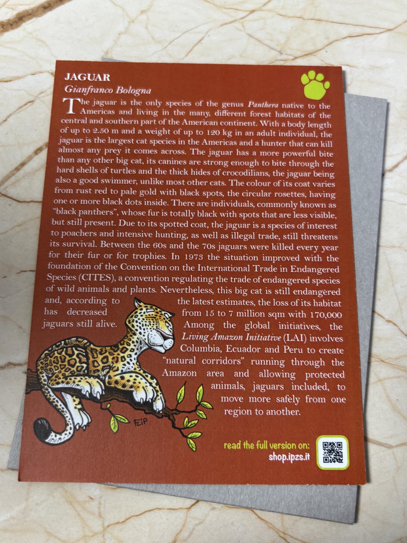 第185期拍卖 卡装意大利2022年动物园系列夜光捷豹精制纪念币