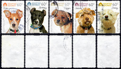 洪涛臻品批发群 精选邮票限时拍卖第1194期  - 澳大利亚2010 很漂亮 宠物狗邮票 信销好品