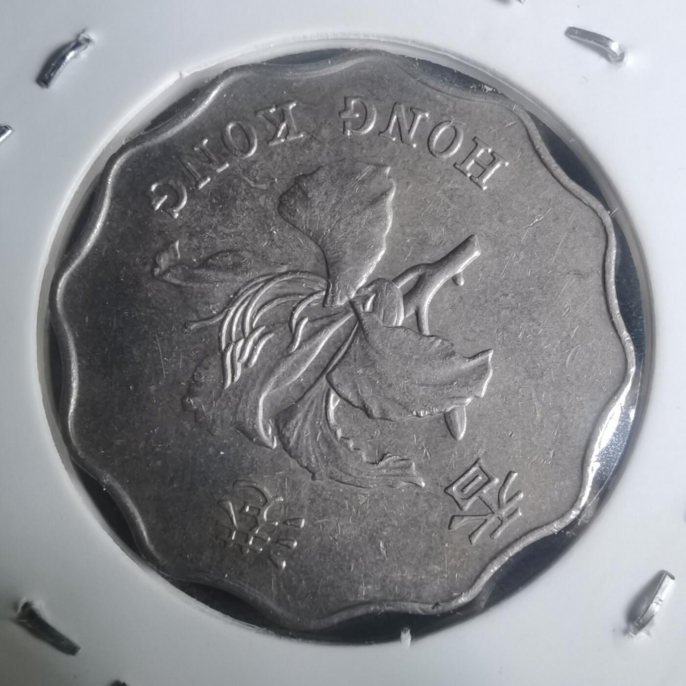 沼泽如烟--第930场