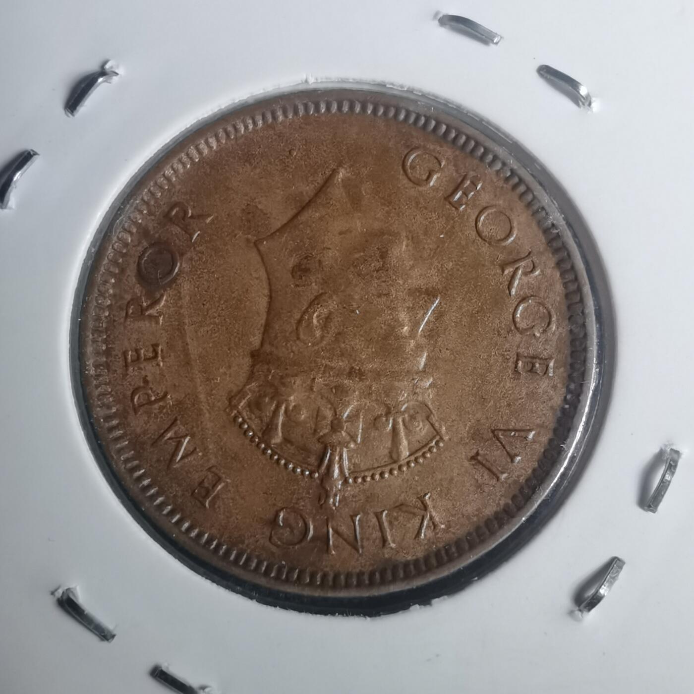 沼泽如烟--第930场