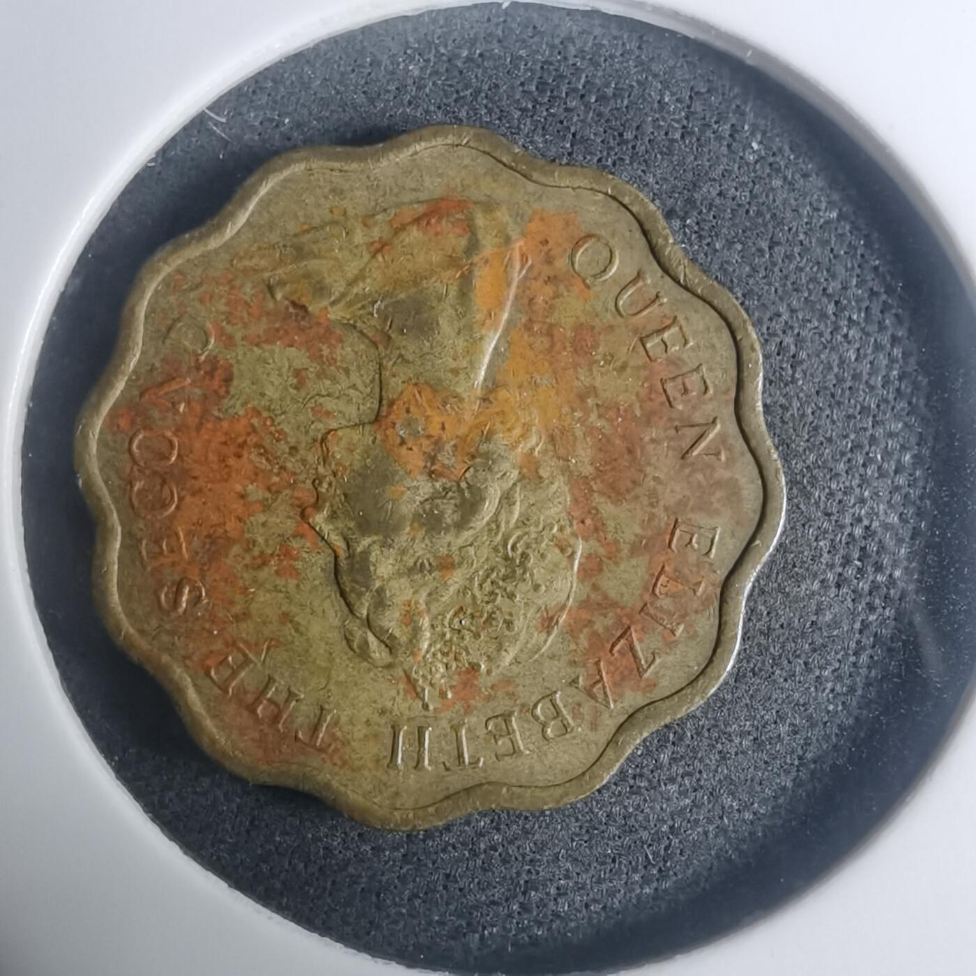 沼泽如烟--第930场