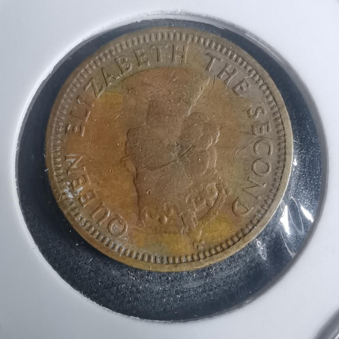 沼泽如烟--第930场