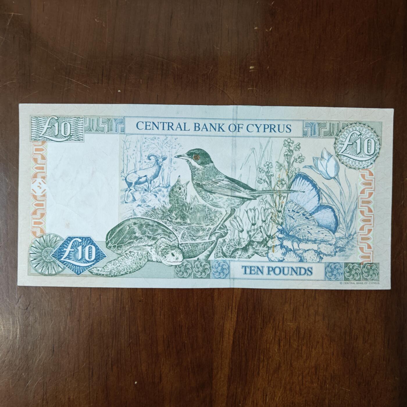 塞浦路斯 2005年10镑 纸币 精美动物群 流通品实物图原图片