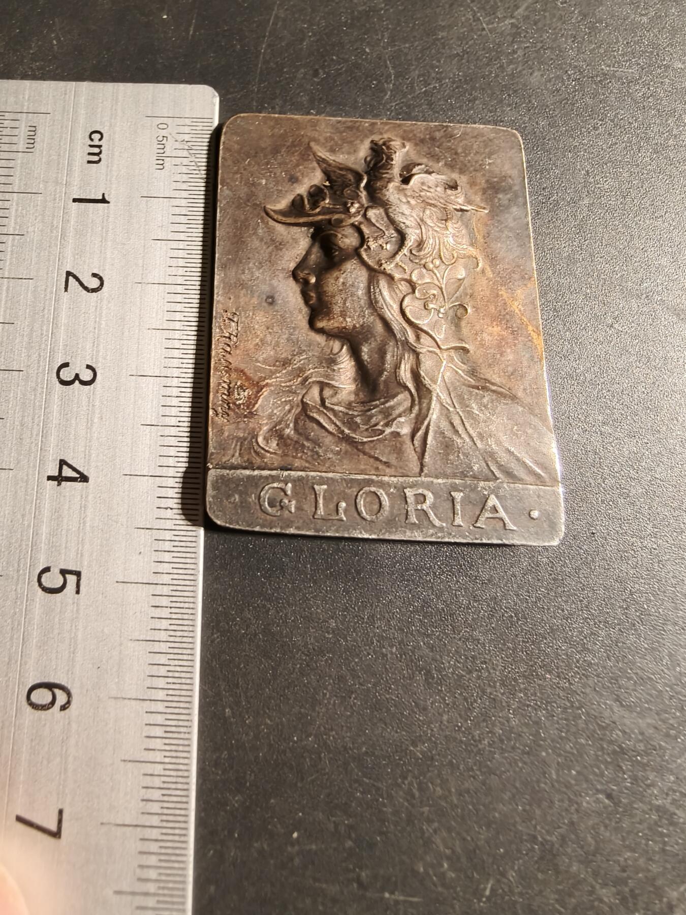 老王徽章第169期   法国玛丽安娜方形镀银大铜章 大师Rusmuny作品 公鸡头玛丽安娜 尺寸34×45mm. 重量31.7g