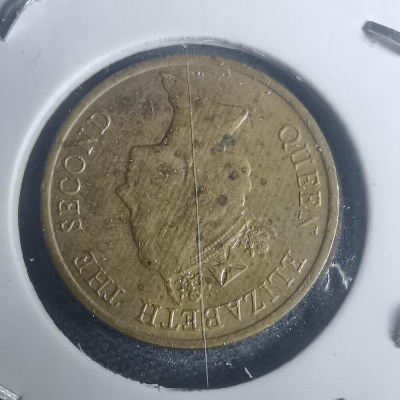 沼泽如烟--第930场