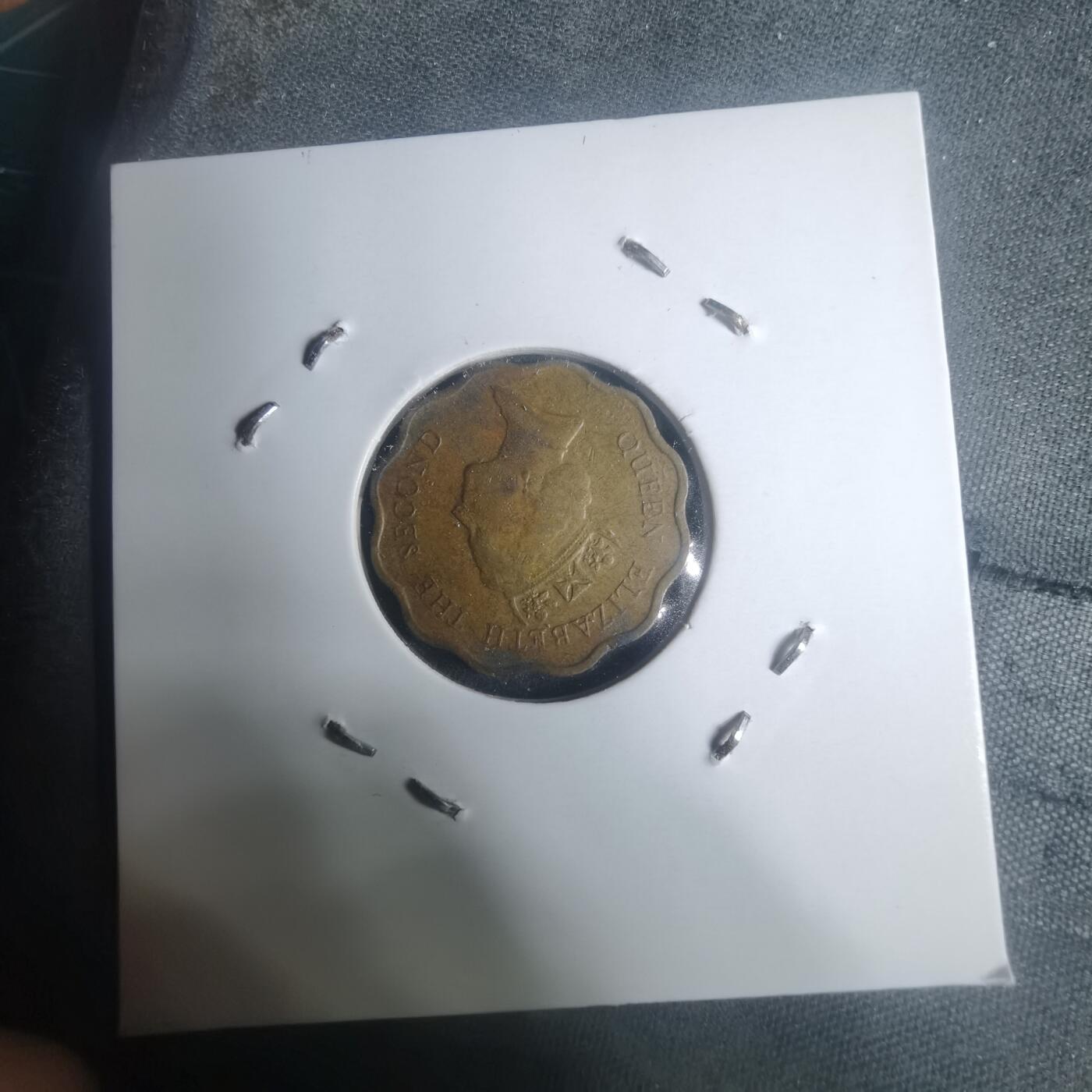 沼泽如烟--第930场