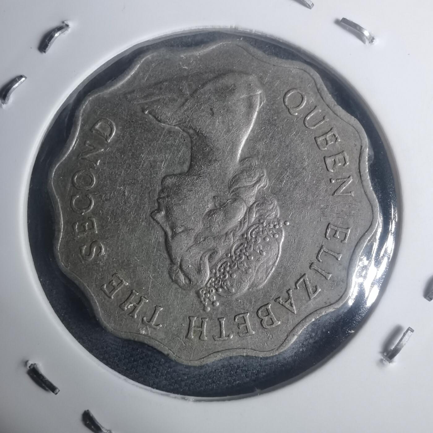 沼泽如烟--第930场