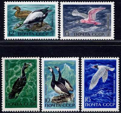 洪涛臻品批发群 精选邮票限时拍卖第1195期  - 苏联 沿海地区鸟类5全套 新票如图原胶润亮 1971年影写版精美套票