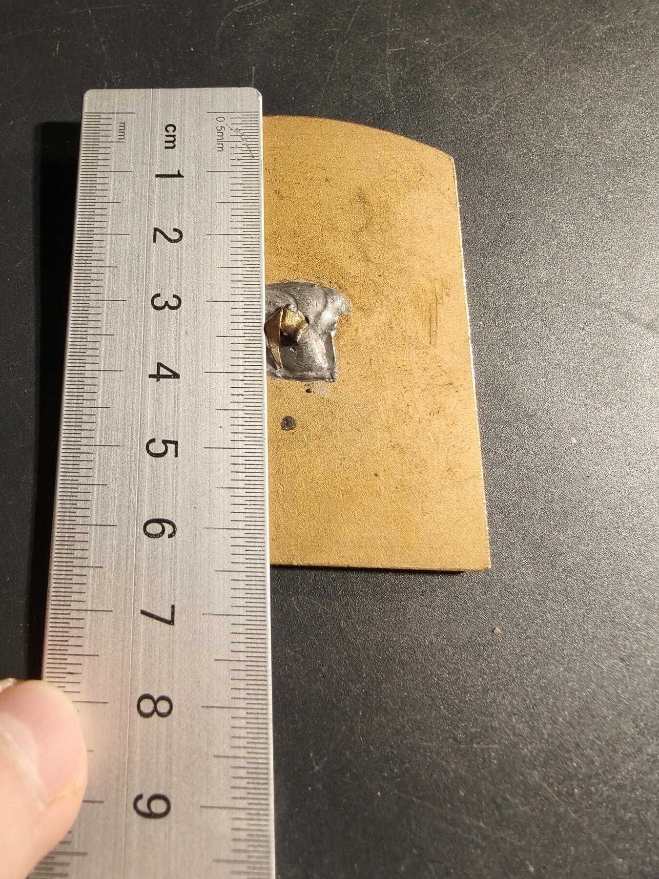 老王徽章第169期 法国宠物犬博览会镀金方形大铜章     尺寸50×64mm.    重量72.6g