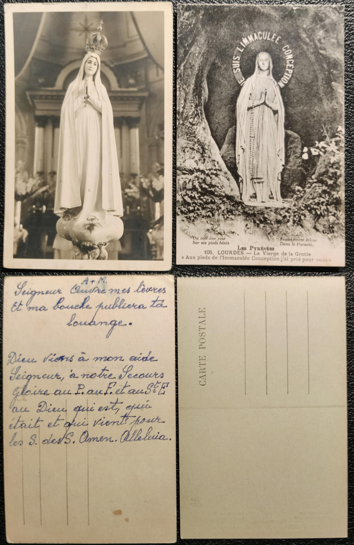 洪涛臻品批发群 精选邮票限时拍卖第1198期 