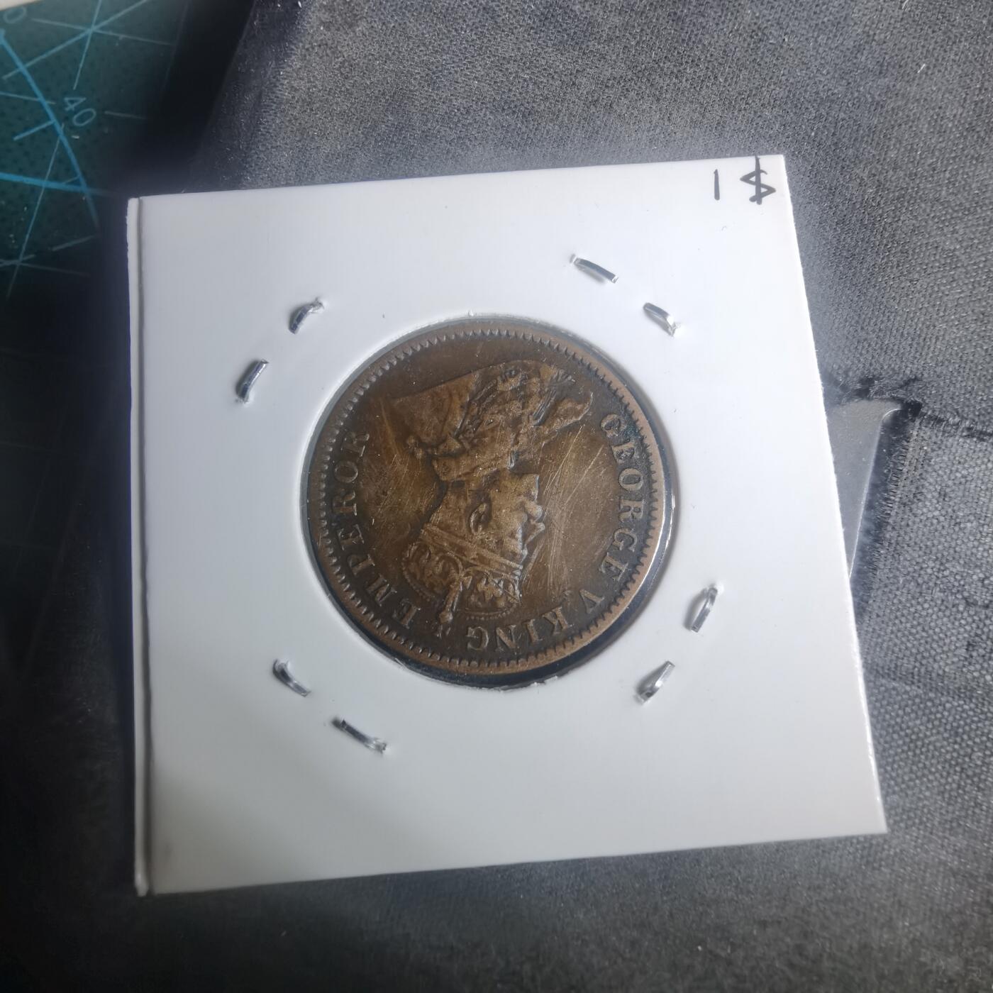 沼泽如烟--第930场