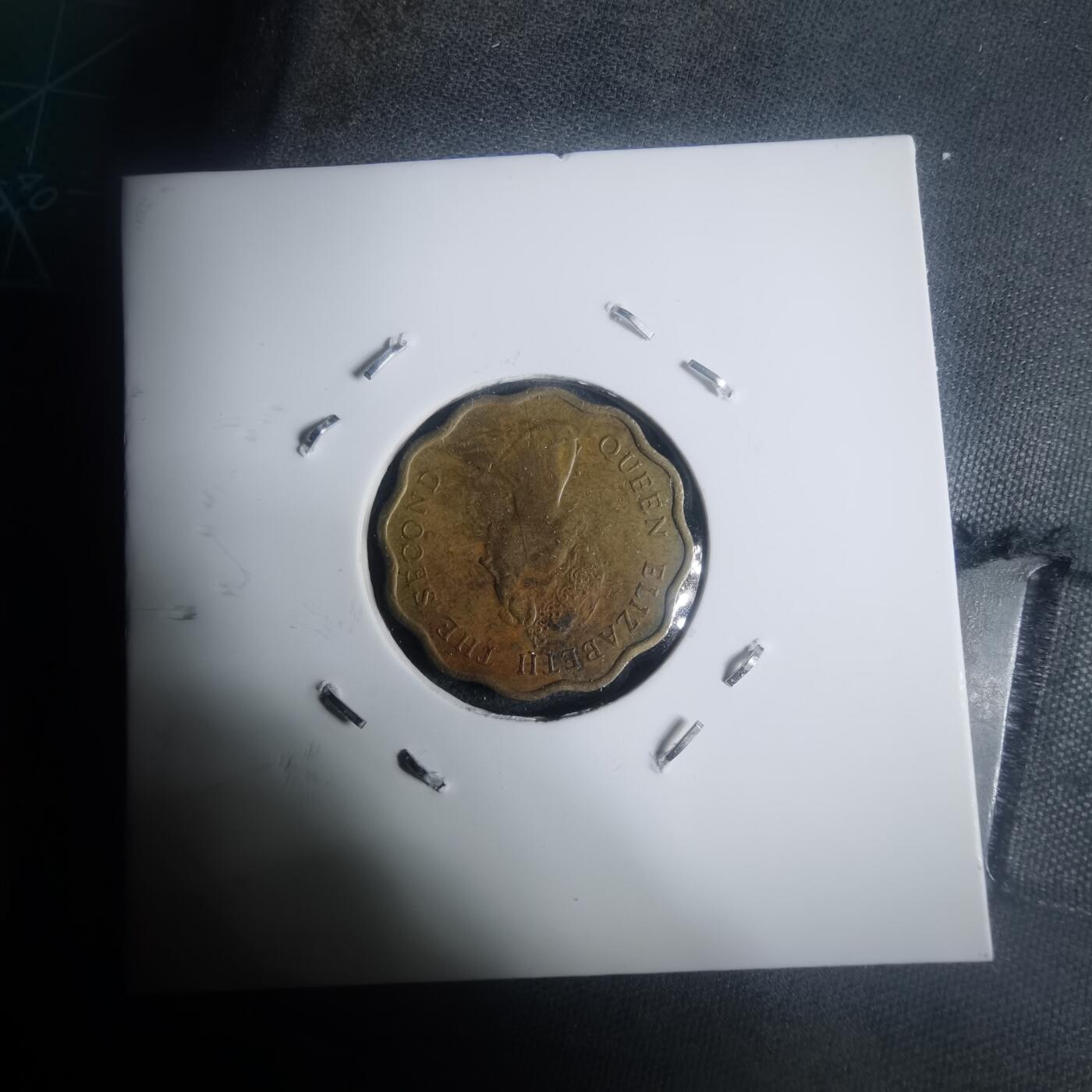 沼泽如烟--第930场