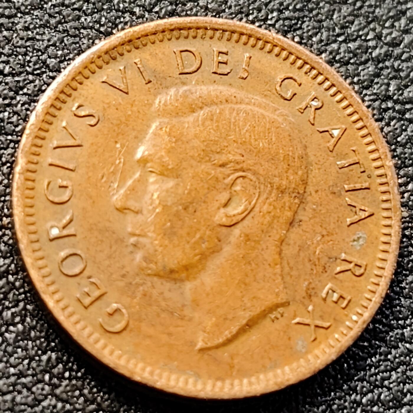 泉币菌-第146场-精品福利场 。